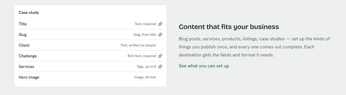 A case-study content type with title, slug, client, challenge, services and hero-image fields.